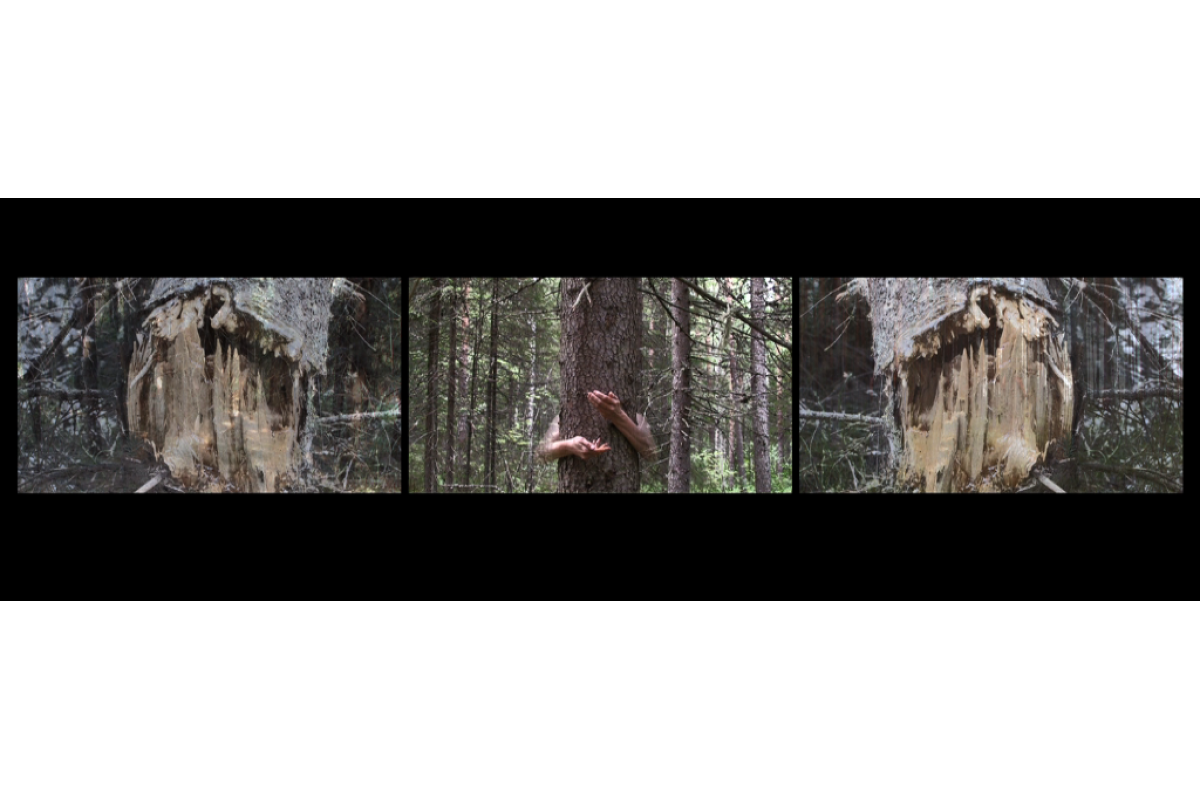 Image example of 3-channel video installation, 